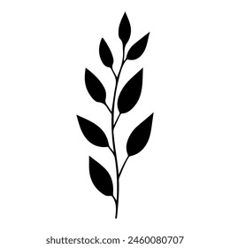 Sketch of holly leaf. Vector illustration. Black and white.