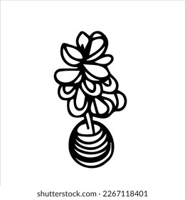 Sketch of a home flower in a pot. Hand-drawn black and white vector illustration. Interior items, home comfort, room decoration.