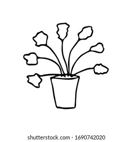 Sketch of a home plant. Vector outlines isolated element for design. Doodle style. 