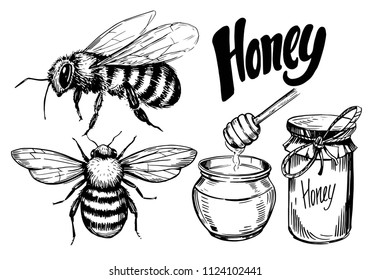 Sketch of honey elements. Hand  drawn illustration converted to vector