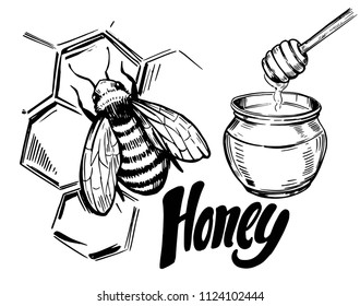 Sketch of honey elements. Hand  drawn illustration converted to vector