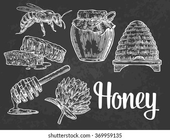 Sketch honey set. Jars, bee, hive, clover, honeycomb. Engraving vintage vector white illustration. Isolated on black background. Hand drawn design element for label and poster