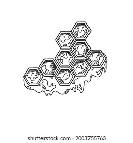 Sketch of honeycomb with honey isolated on a white background. Vector illustration