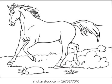 Sketch Horse Stock Vector (Royalty Free) 1673877340 | Shutterstock