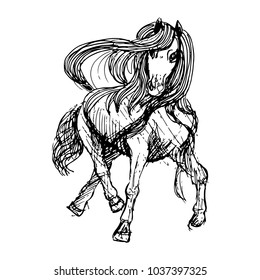 sketch of a horse in black lines. the horse stands half-way