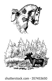 sketch of a horse and an elk in nature.horse and elk.