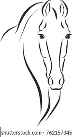 Sketch of a horse head.