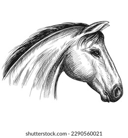 Sketch horse head silhouette. Vector animal illustration.	