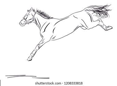 A sketch of a horse jump down.