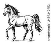 Sketch of a horse on a white background