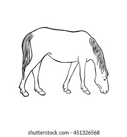 Sketch of horse on white background. Side view. Art vector illustration