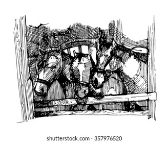 sketch horse stables