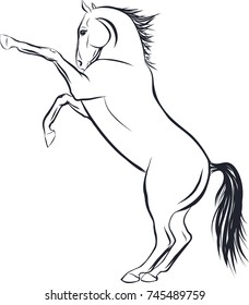 Sketch of the horse standing on hind legs.