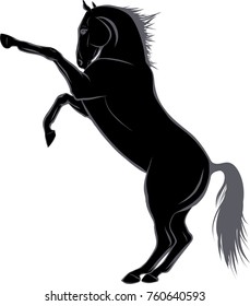Sketch of the horse standing on hind legs.