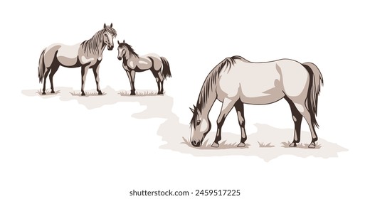 A sketch of horses grazing in a meadow, vector illustration