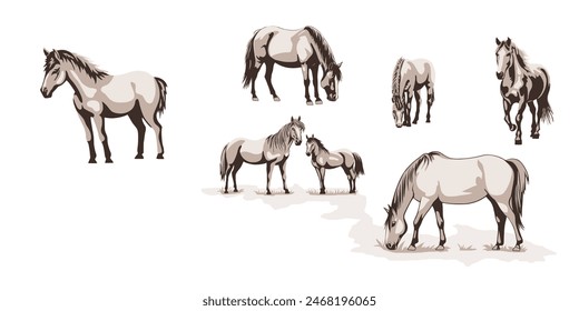 A sketch of horses grazing in a meadow, vector illustration