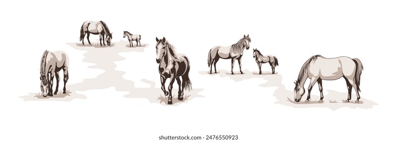 A sketch of horses grazing in a meadow, vector illustration