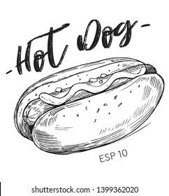 Sketch of the hot dog. Hand drawn illustration converted to vector