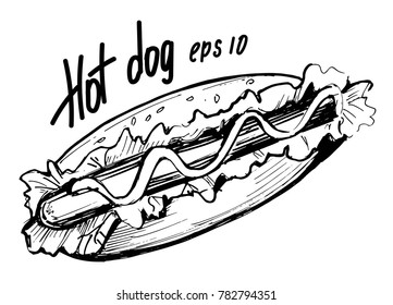 Sketch of hot dog. Hand drawn illustration converted to vector