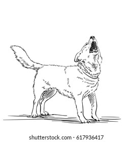 Sketch of a howling dog, Hand drawn illustration, Line art