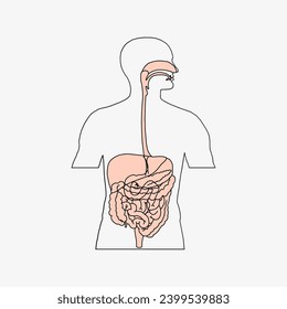Sketch of the human Body part in vector design. Line drawing of the body part illustration. clip art of medical field icon. Health symbol