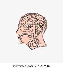 Sketch of the human Body part in vector design. Line drawing of the body part illustration. clip art of medical field icon. Health symbol