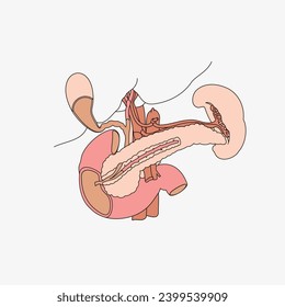 Sketch of the human Body part in vector design. Line drawing of the body part illustration. clip art of medical field icon. Health symbol