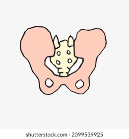 Sketch of the human Body part in vector design. Line drawing of the body part illustration. clip art of medical field icon. Health symbol