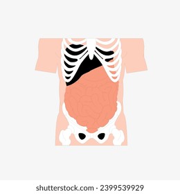 Sketch of the human Body part in vector design. Line drawing of the body part illustration. clip art of medical field icon. Health symbol