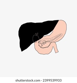 Esbozo de la parte del cuerpo humano en el diseño vectorial. Dibujo de línea de la ilustración de la parte del cuerpo. imagen de clip del icono de campo médico. Símbolo de estado