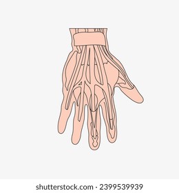 Sketch of the human Body part in vector design. Line drawing of the body part illustration. clip art of medical field icon. Health symbol