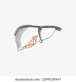 Sketch of the human Body part in vector design. Line drawing of the body part illustration. clip art of medical field icon. Health symbol