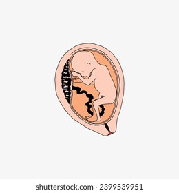 Sketch of the human Body part in vector design. Line drawing of the body part illustration. clip art of medical field icon. Health symbol