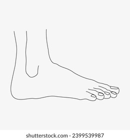 Sketch of the human Body part in vector design. Line drawing of the body part illustration. clip art of medical field icon. Health symbol