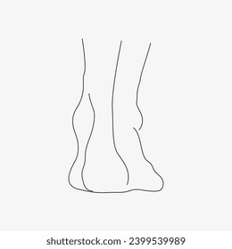 Sketch of the human Body part in vector design. Line drawing of the body part illustration. clip art of medical field icon. Health symbol