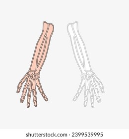 Sketch of the human Body part in vector design. Line drawing of the body part illustration. clip art of medical field icon. Health symbol