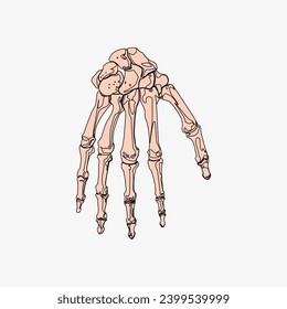 Sketch of the human Body part in vector design. Line drawing of the body part illustration. clip art of medical field icon. Health symbol