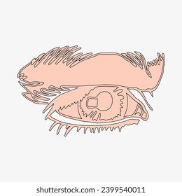 Sketch of the human Body part in vector design. Line drawing of the body part illustration. clip art of medical field icon. Health symbol