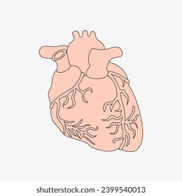 Sketch of the human Body part in vector design. Line drawing of the body part illustration. clip art of medical field icon. Health symbol