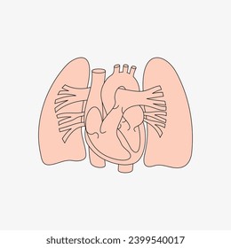 Sketch of the human Body part in vector design. Line drawing of the body part illustration. clip art of medical field icon. Health symbol