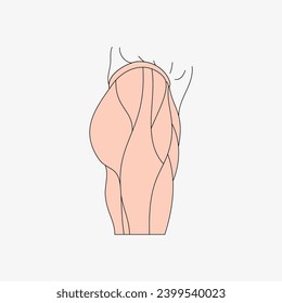 Sketch of the human Body part in vector design. Line drawing of the body part illustration. clip art of medical field icon. Health symbol