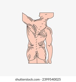 Sketch of the human Body part in vector design. Line drawing of the body part illustration. clip art of medical field icon. Health symbol