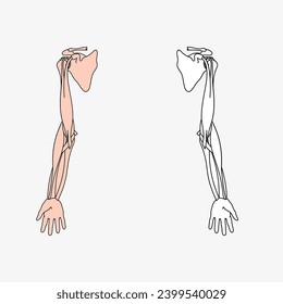 Esbozo de la parte del cuerpo humano en el diseño vectorial. Dibujo de línea de la ilustración de la parte del cuerpo. imagen de clip del icono de campo médico. Símbolo de estado