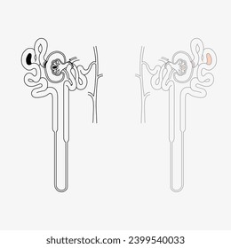 Sketch of the human Body part in vector design. Line drawing of the body part illustration. clip art of medical field icon. Health symbol