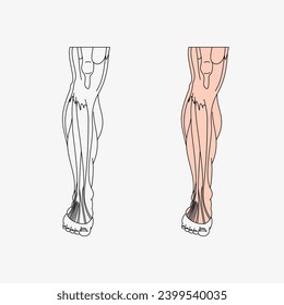 Sketch of the human Body part in vector design. Line drawing of the body part illustration. clip art of medical field icon. Health symbol