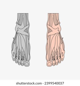 Sketch of the human Body part in vector design. Line drawing of the body part illustration. clip art of medical field icon. Health symbol