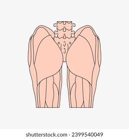 Esbozo de la parte del cuerpo humano en el diseño vectorial. Dibujo de línea de la ilustración de la parte del cuerpo. imagen de clip del icono de campo médico. Símbolo de estado