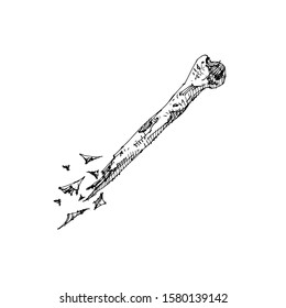 Sketch Human bone Vector Artwork 