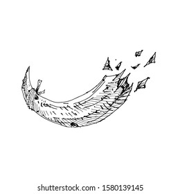 Sketch Human bone Vector Artwork 