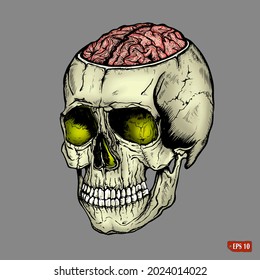 Sketch of human cut off skull with brains. Terrible vintage illustration by hand with ink. Elements for design T-shirt, tattoo, halloween.